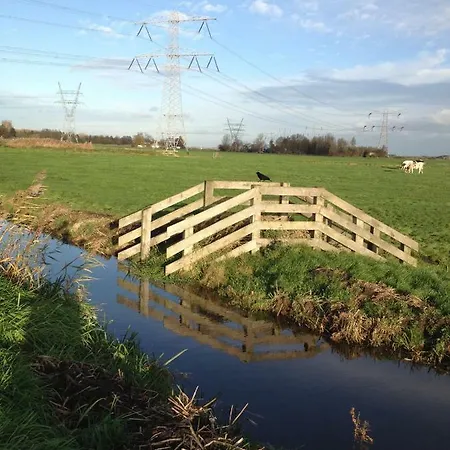 Het Witte أمستردام